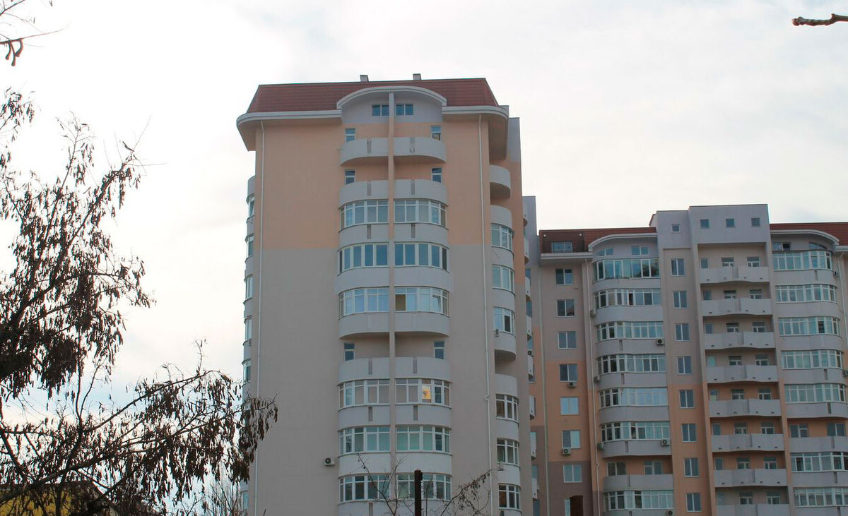 ��� ��������� ����