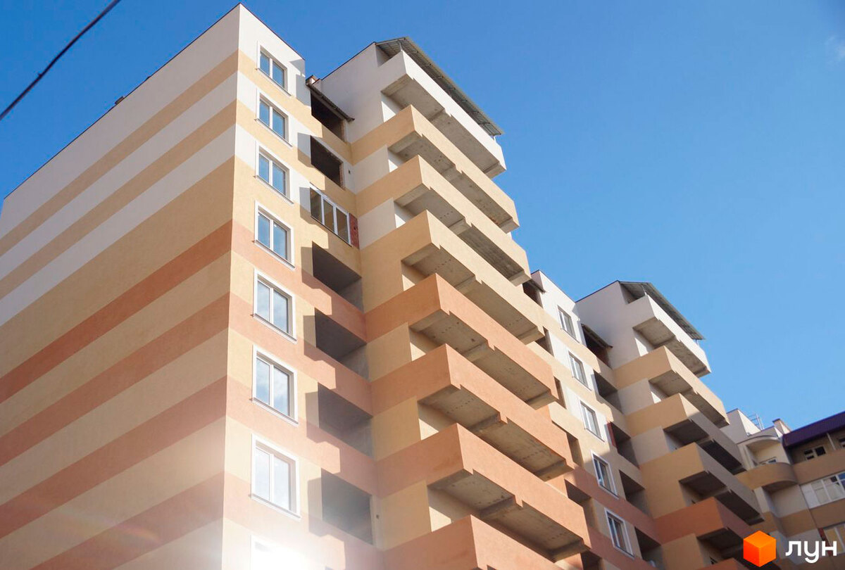 ������ ����