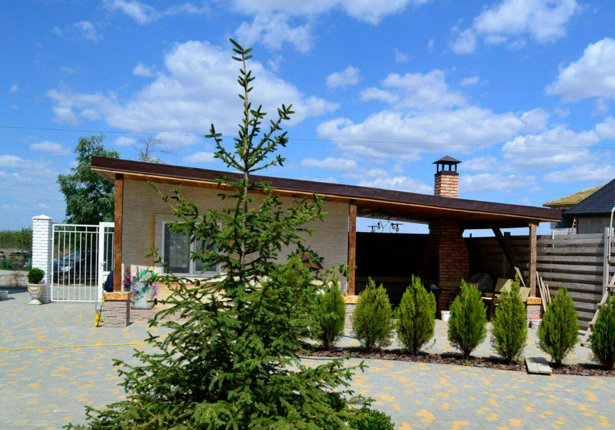 ����� �������-2 ����