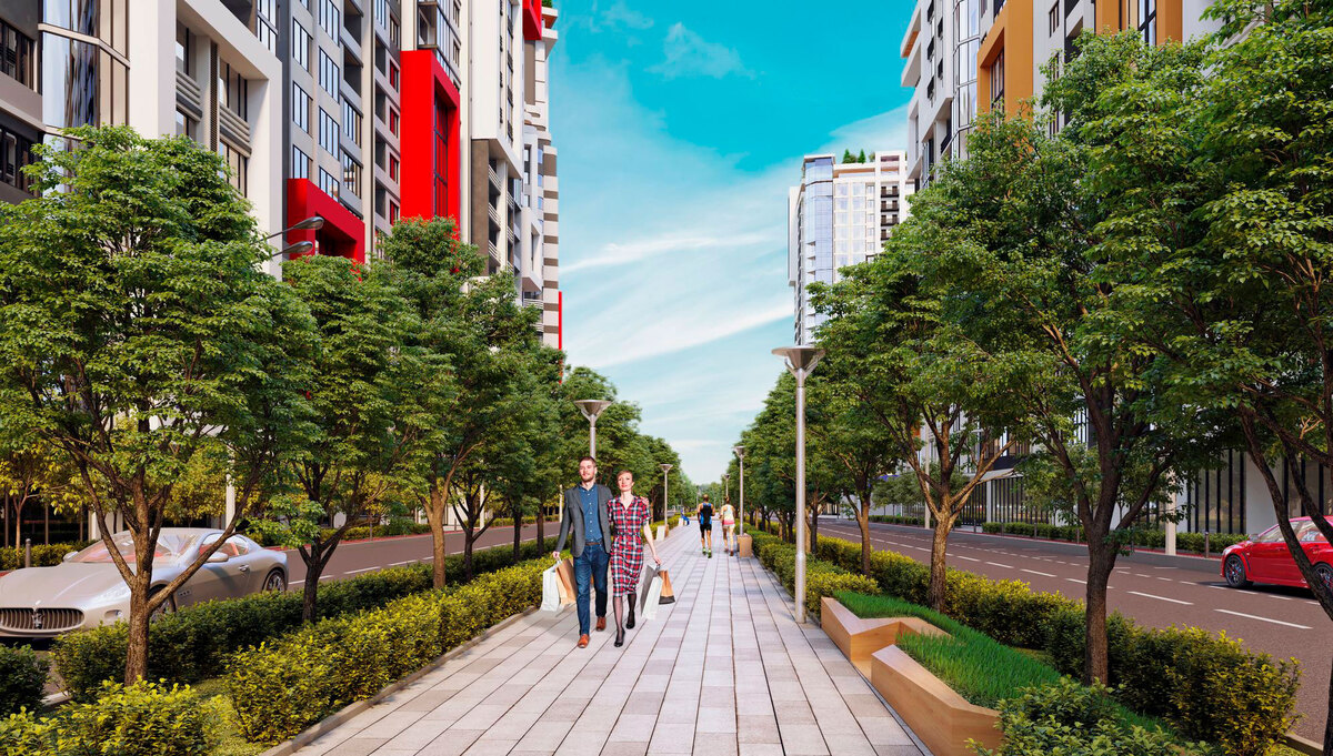 �������� ���� ����