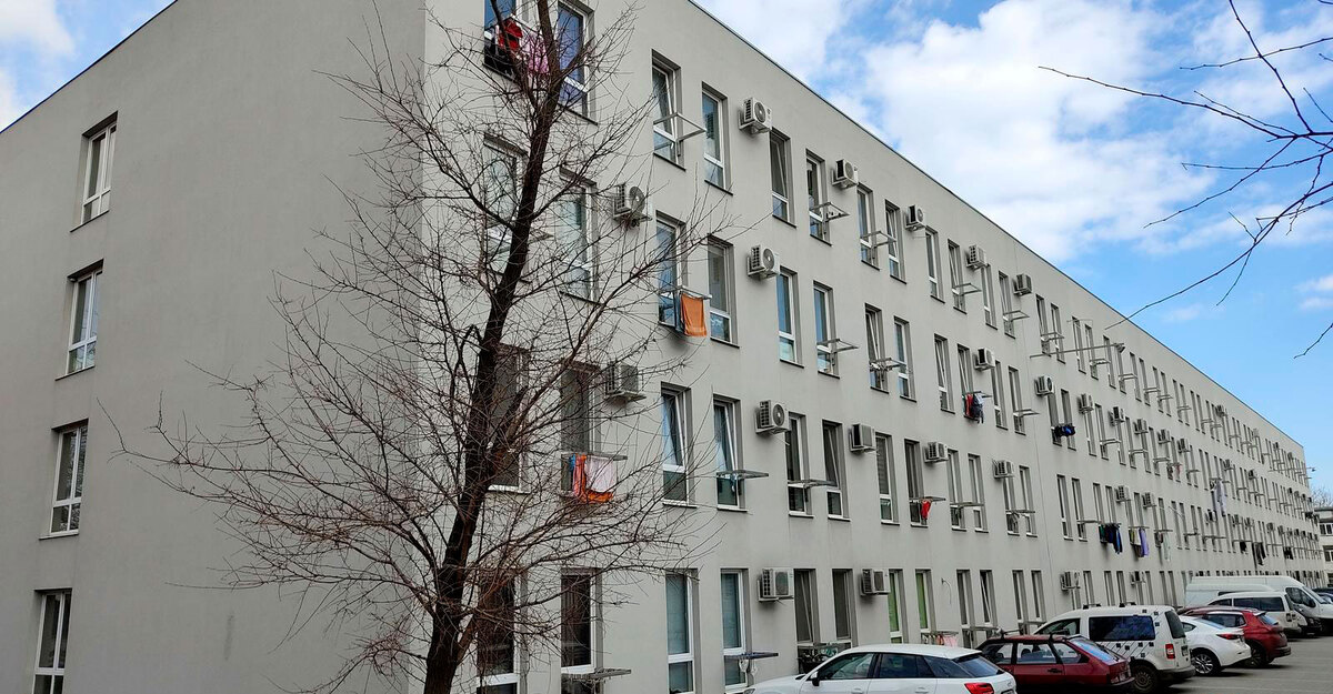 ����� ������ ����