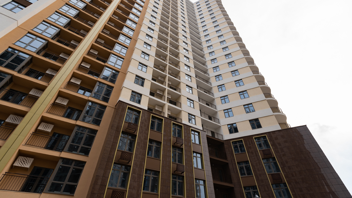 61 ������� ����