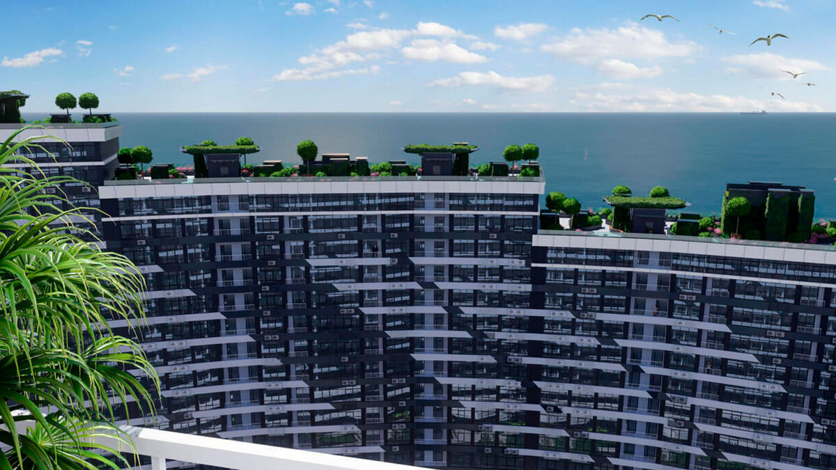 ��������� ����