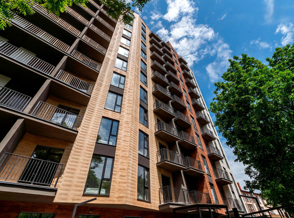 ����� ����