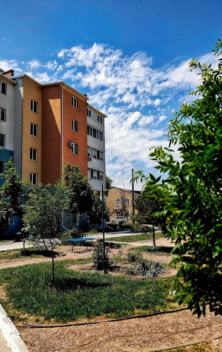 ������ ����