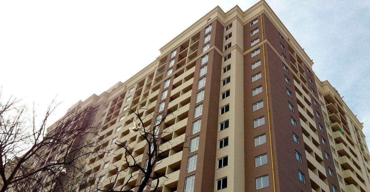 ������ �������� ����