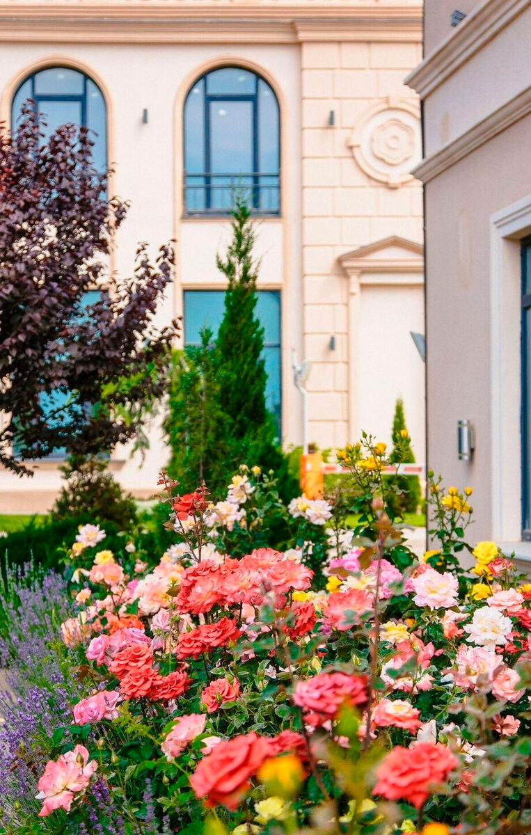 ���������� ����