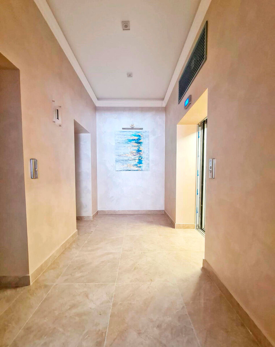 ����� ����