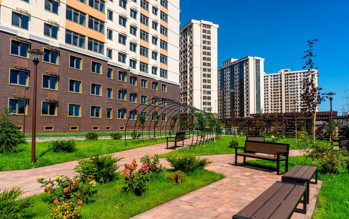 53 ������� ����