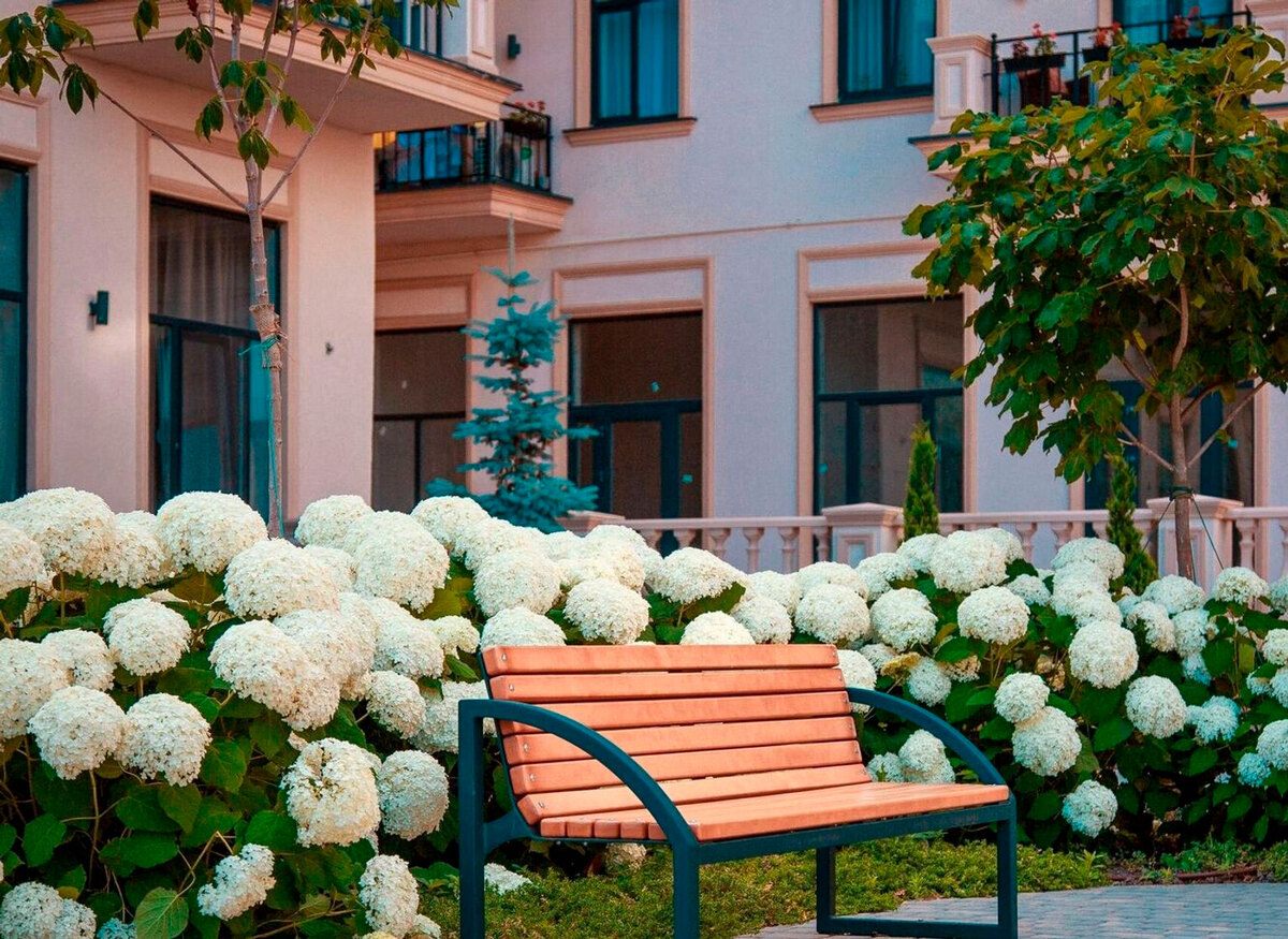 ���������� ����