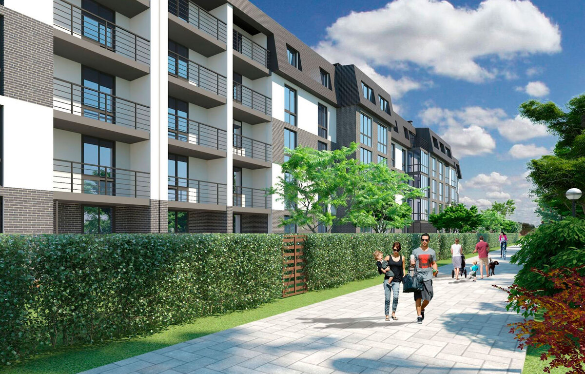 ������ ����