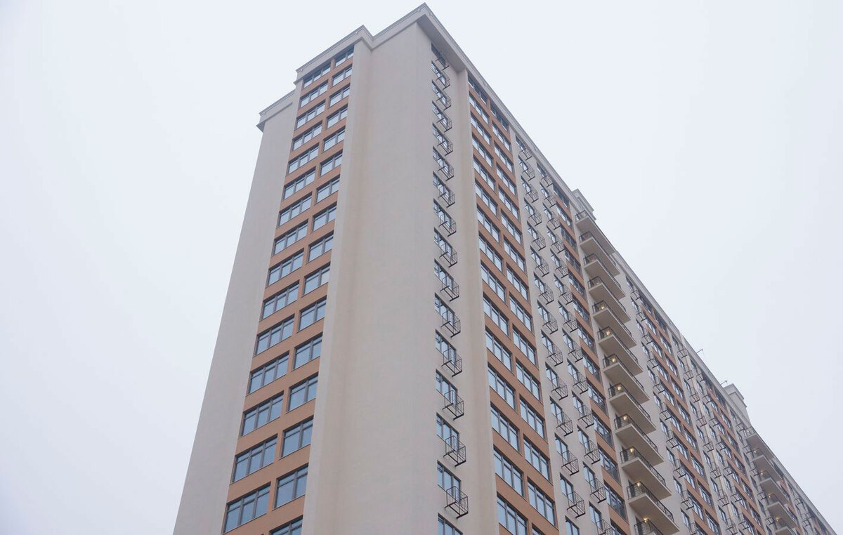 54 ������� ����