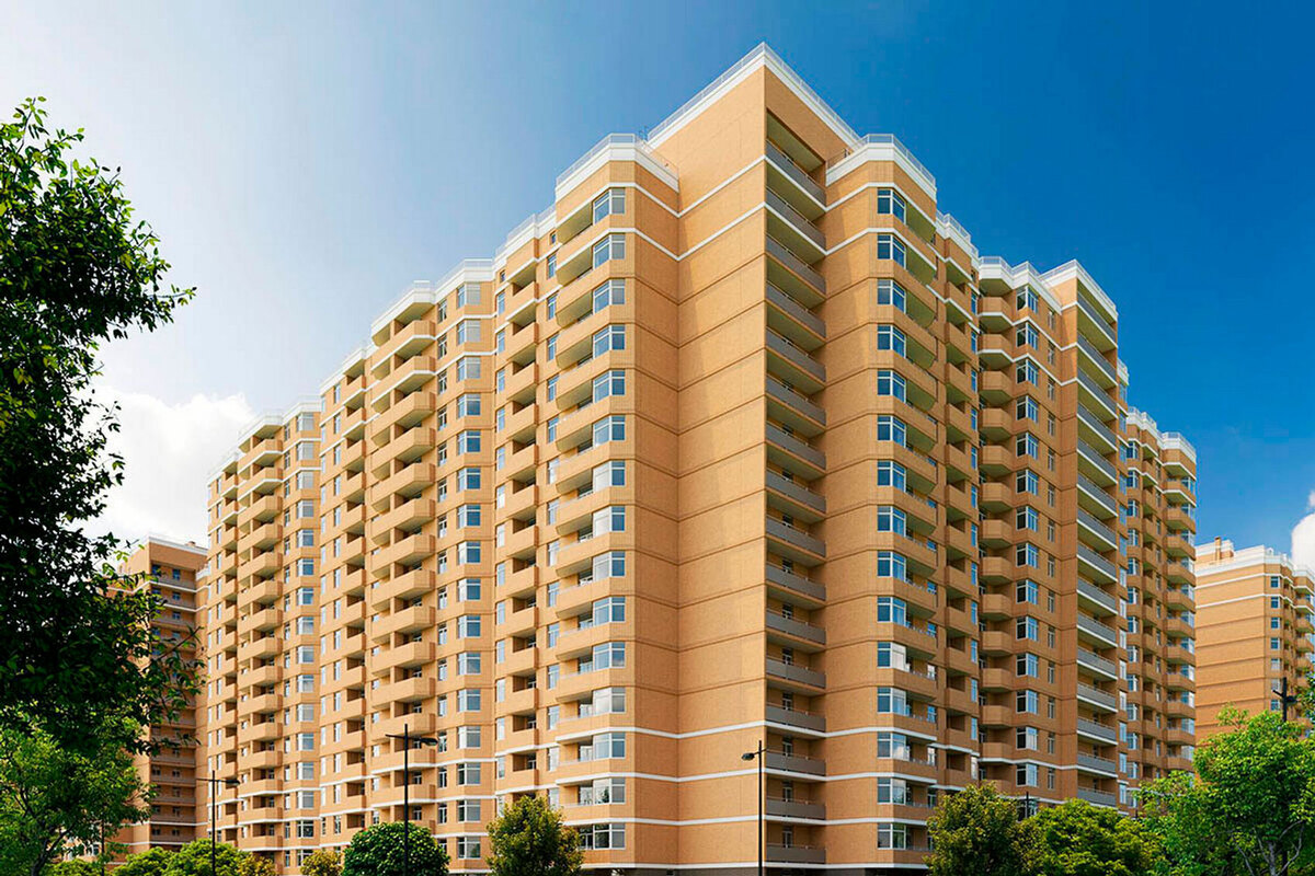 RealPark ����