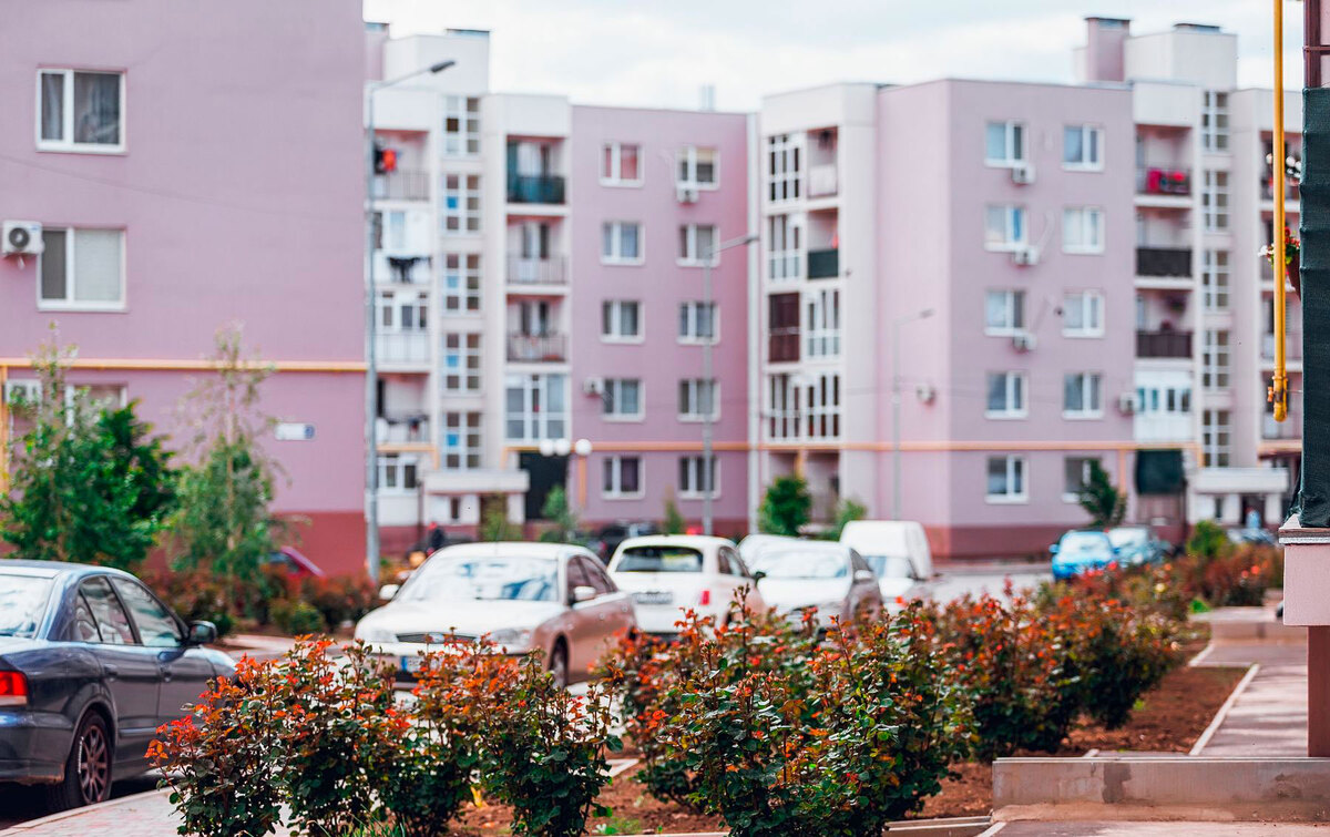 ����� ���� ����