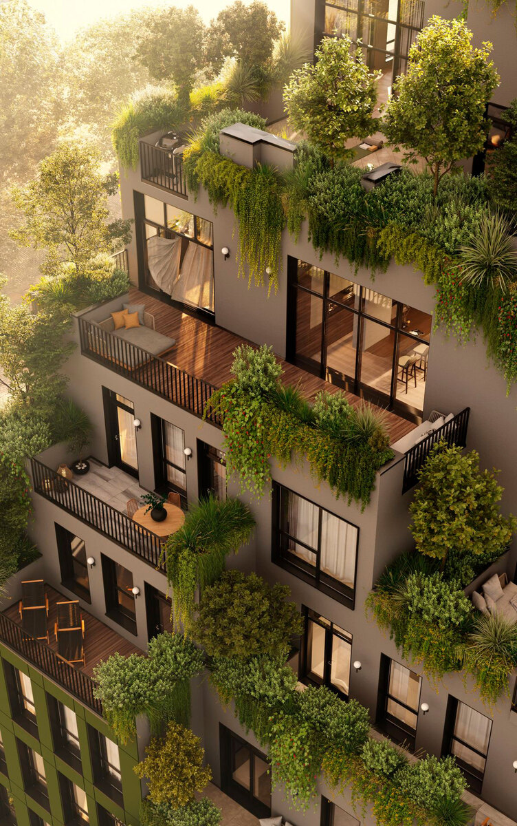 BORGO VERDE ����