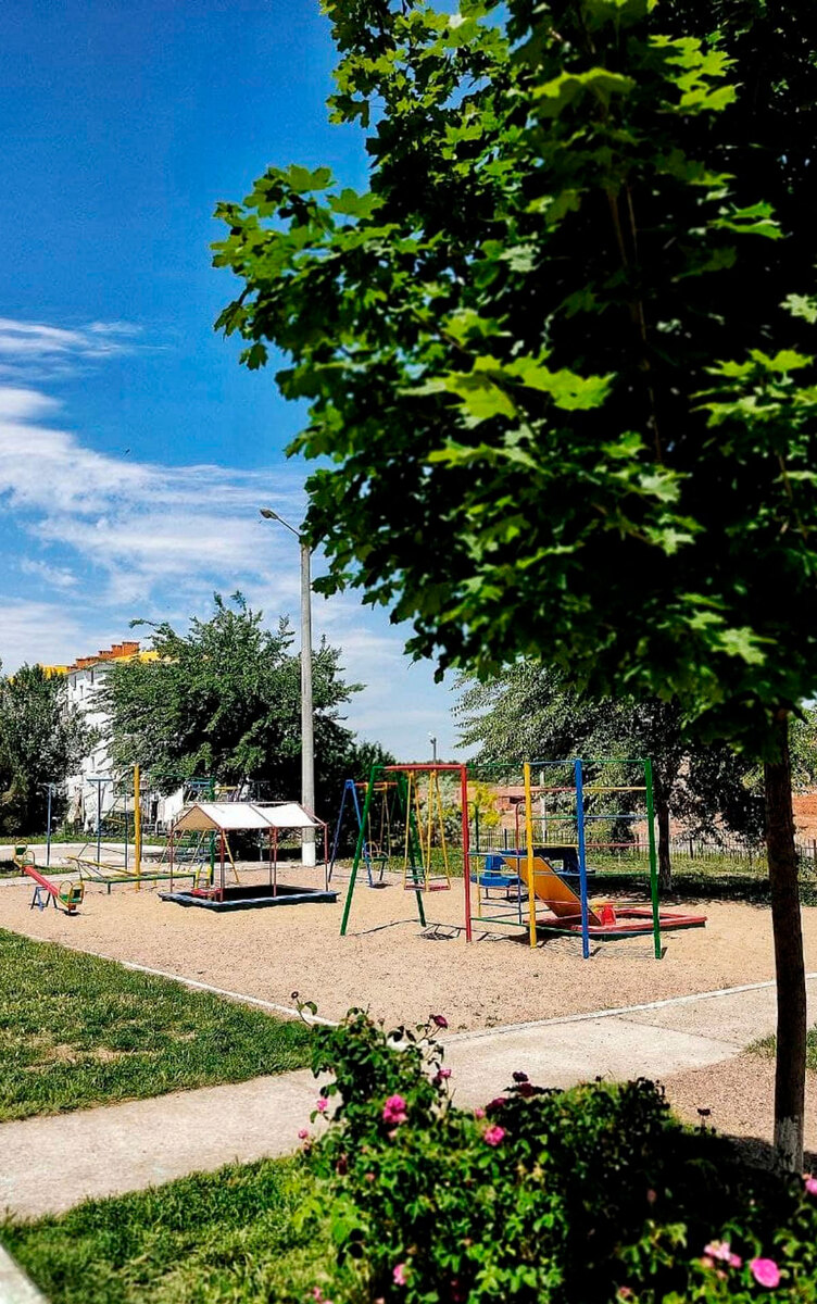 ������ ����