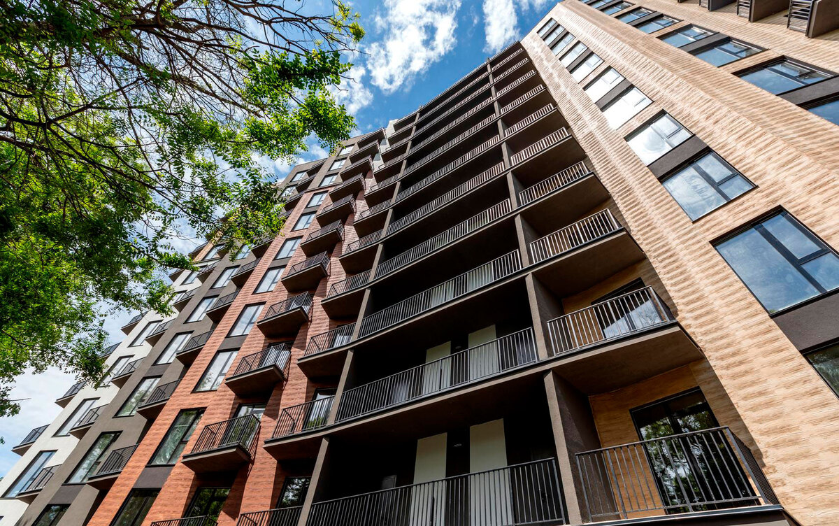 ����� ����