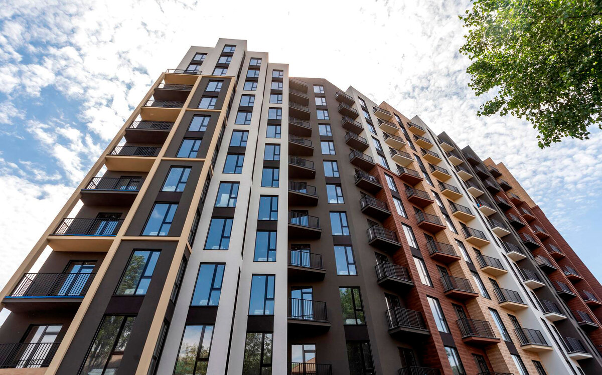 ����� ����