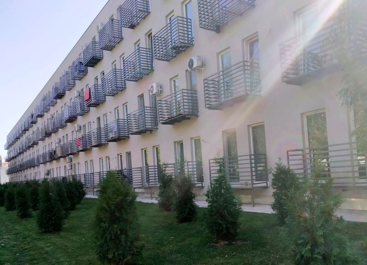 ����� ������ ����