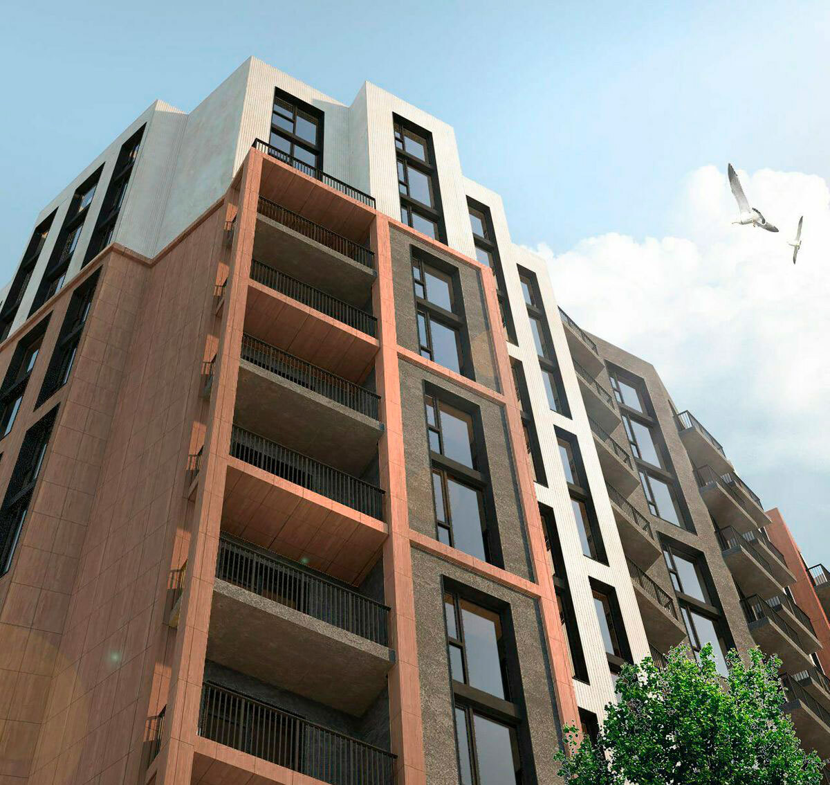 �����-�������� ����� ����