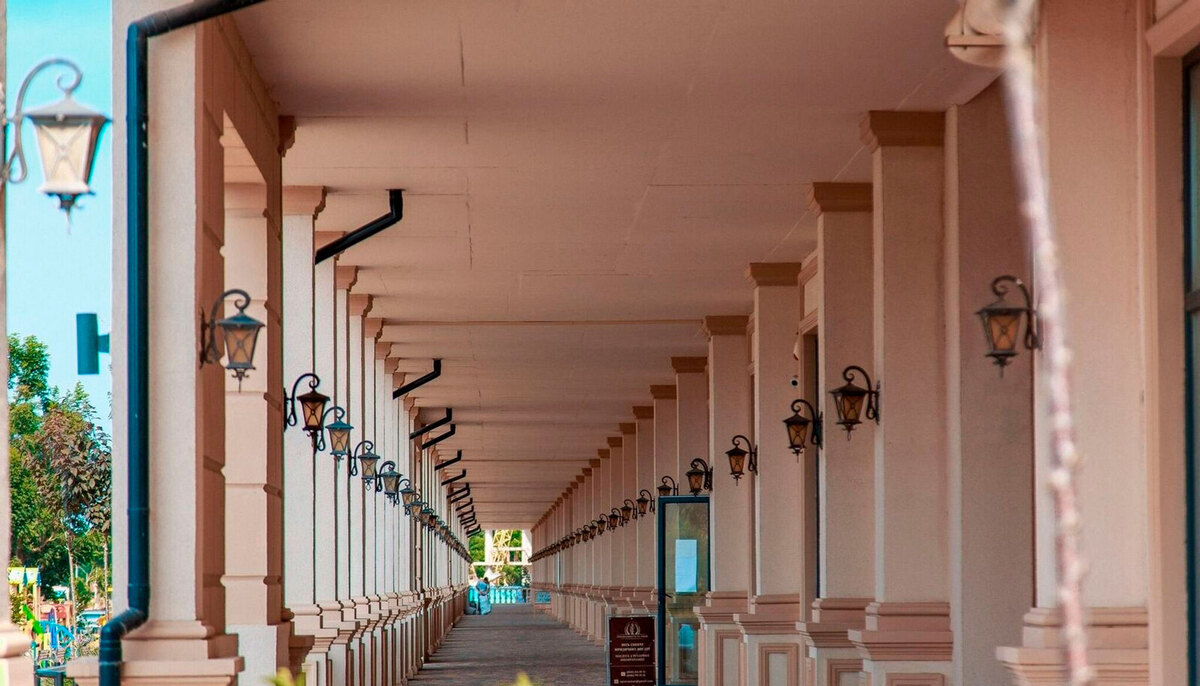 ���������� ����