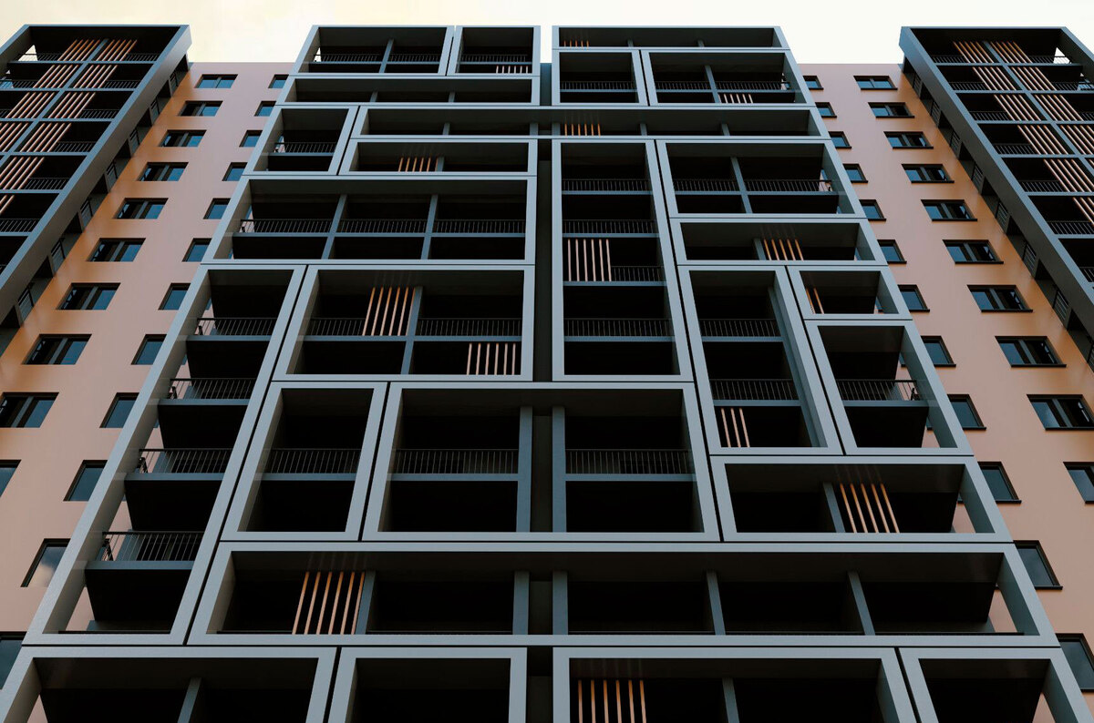 ʳ����� ����