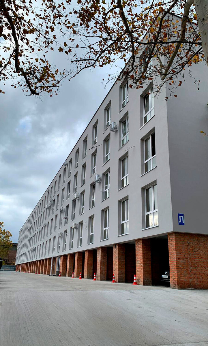 ����� ������ ����