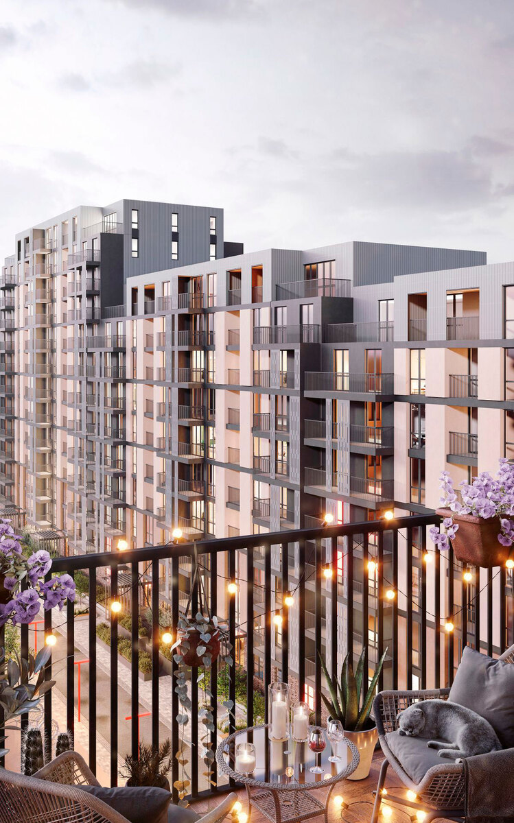 ˳�Sky ����