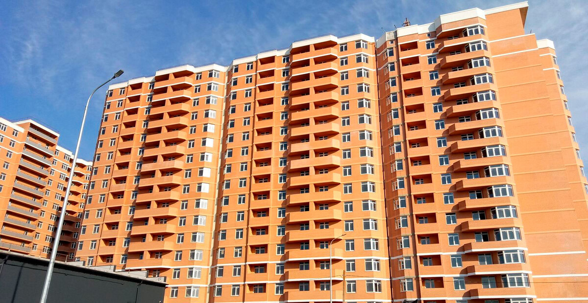 RealPark ����