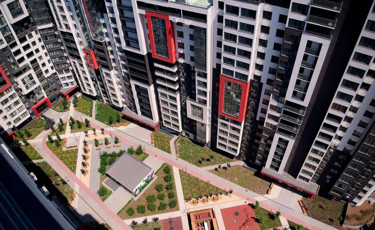 �������� ���� ����