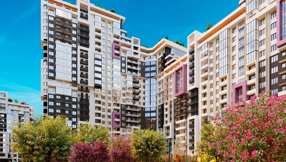 �������� ���� ����