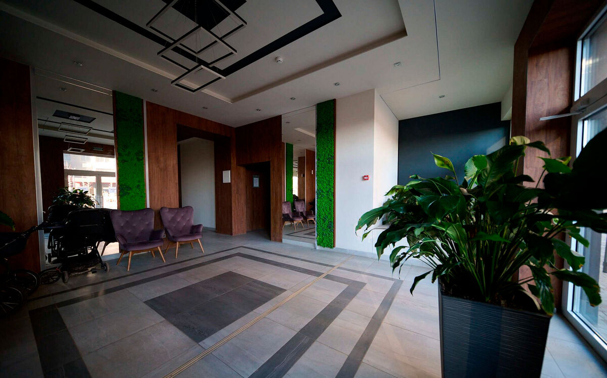 �������� ���� ����