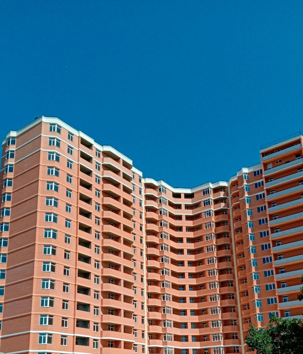 RealPark ����