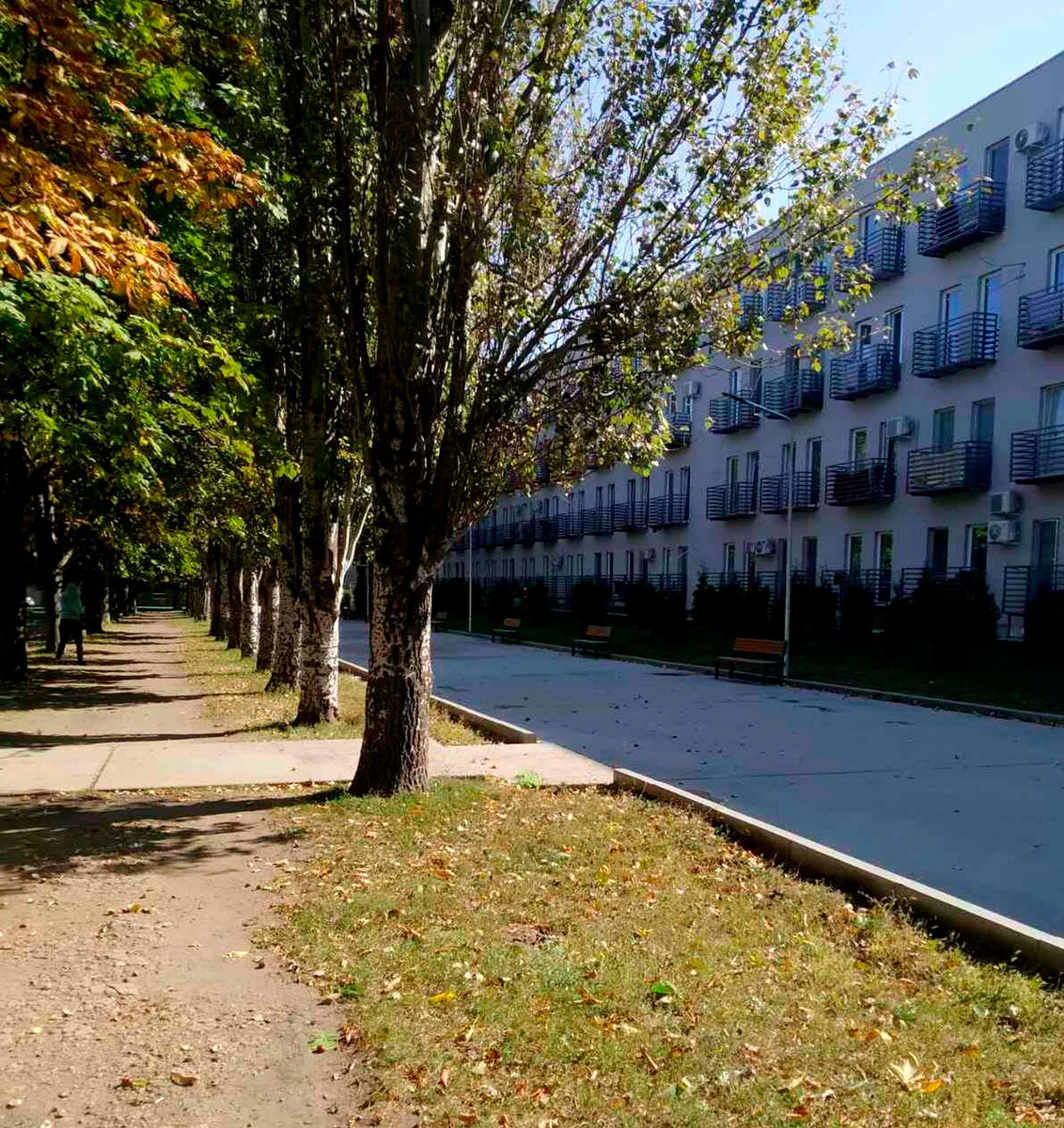 ����� ������ ����