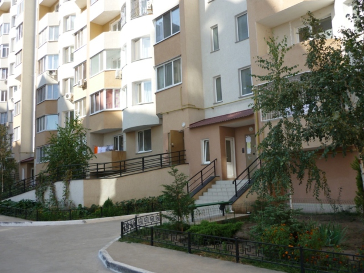 ������ ����