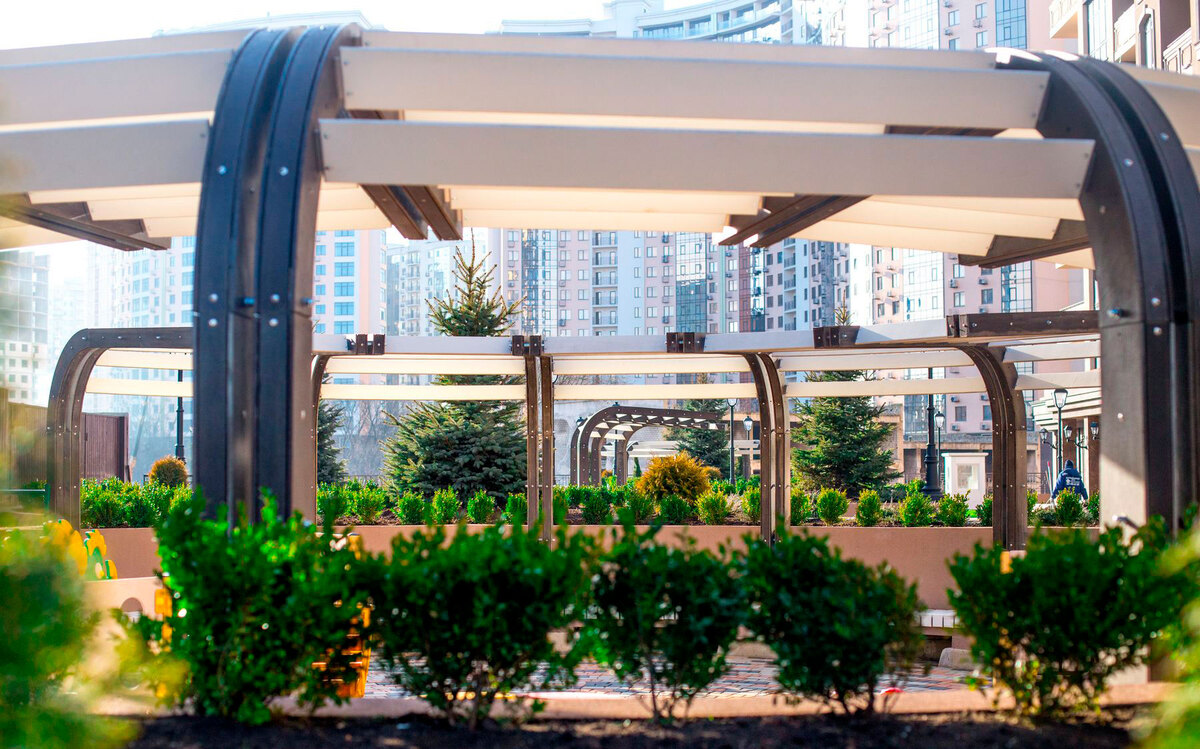 ����� ���� ����