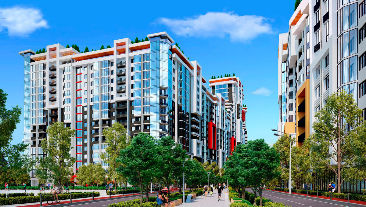 �������� ���� ����