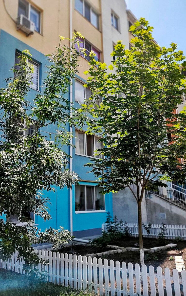 ������ ����