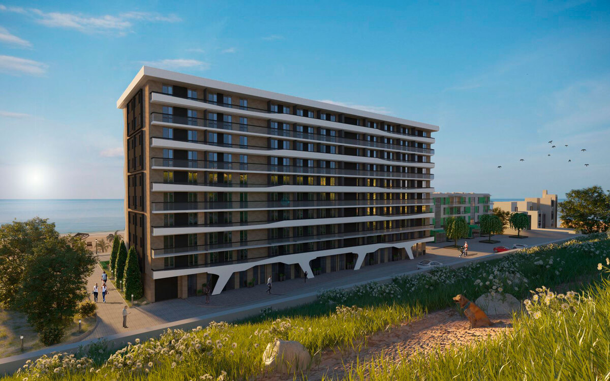 ������ ����