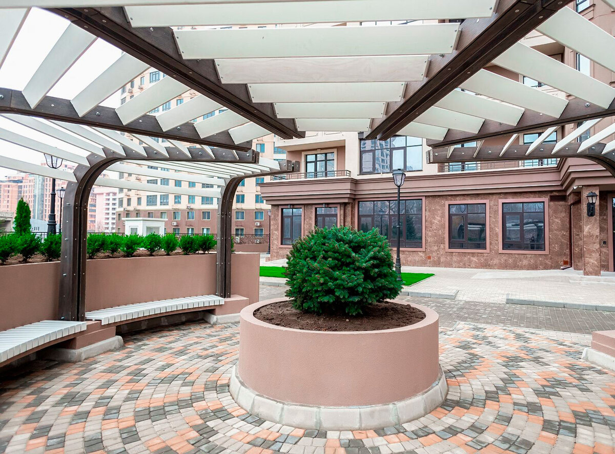 ����� ���� ����