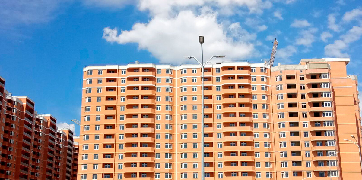 RealPark ����