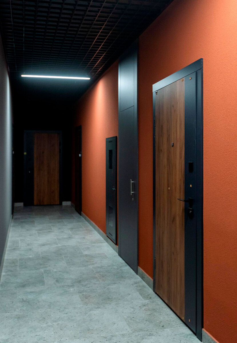 ����� ����