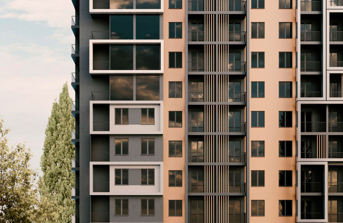 ʳ����� ����