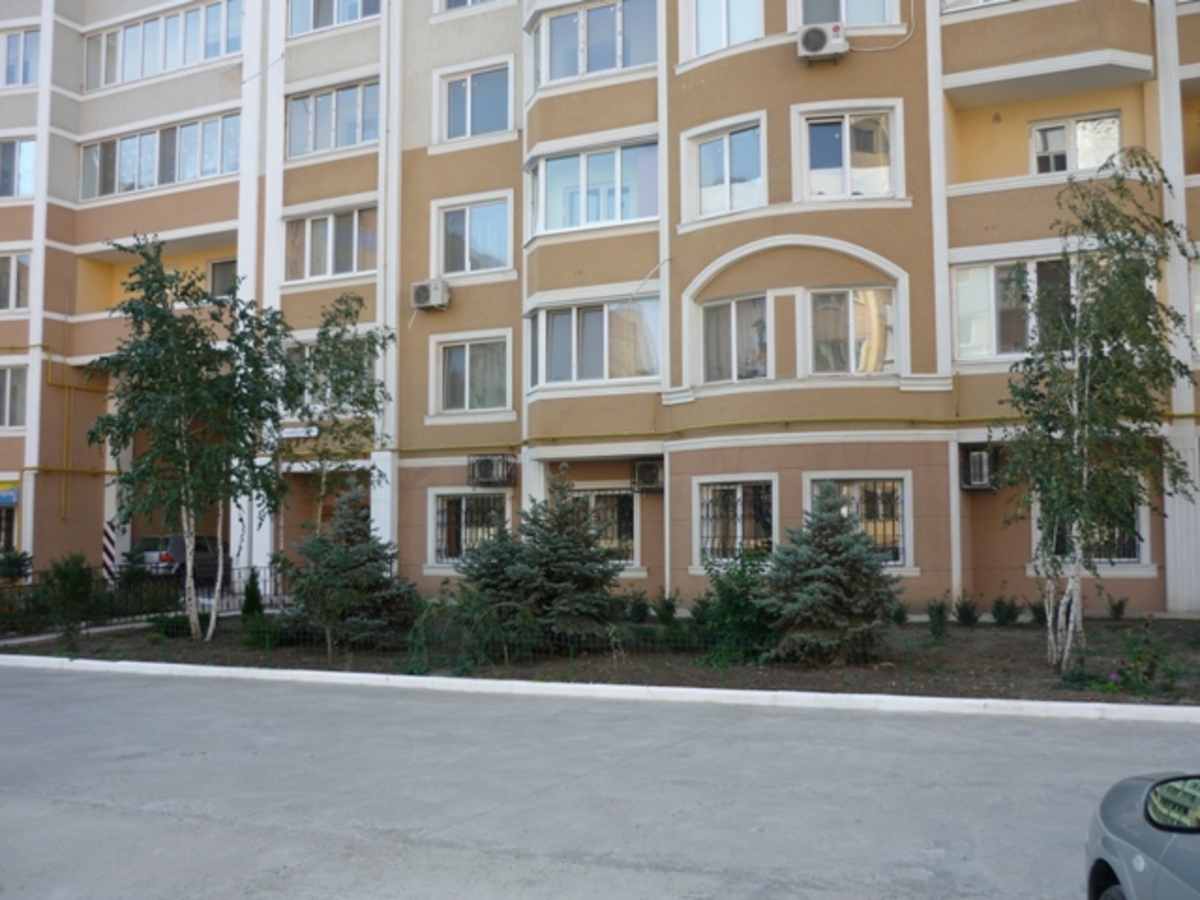 ������ ����