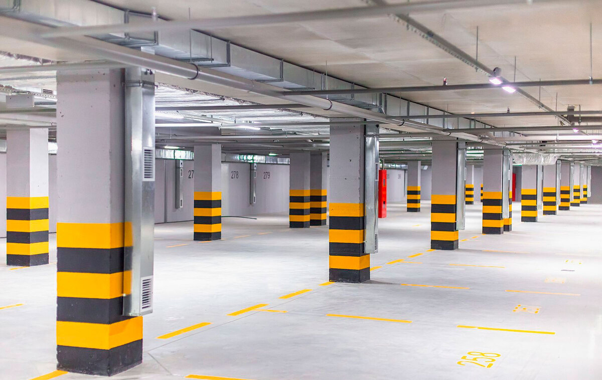 ����� ���� ����