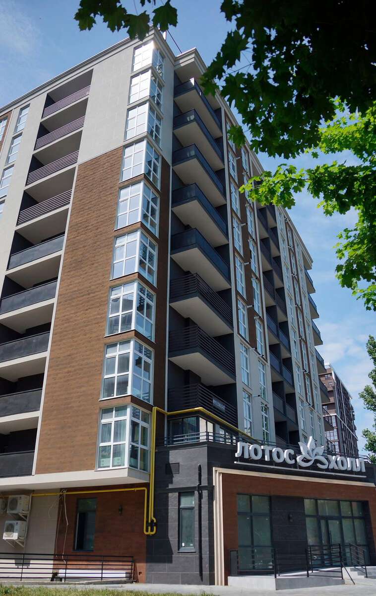 ����� ���� ����