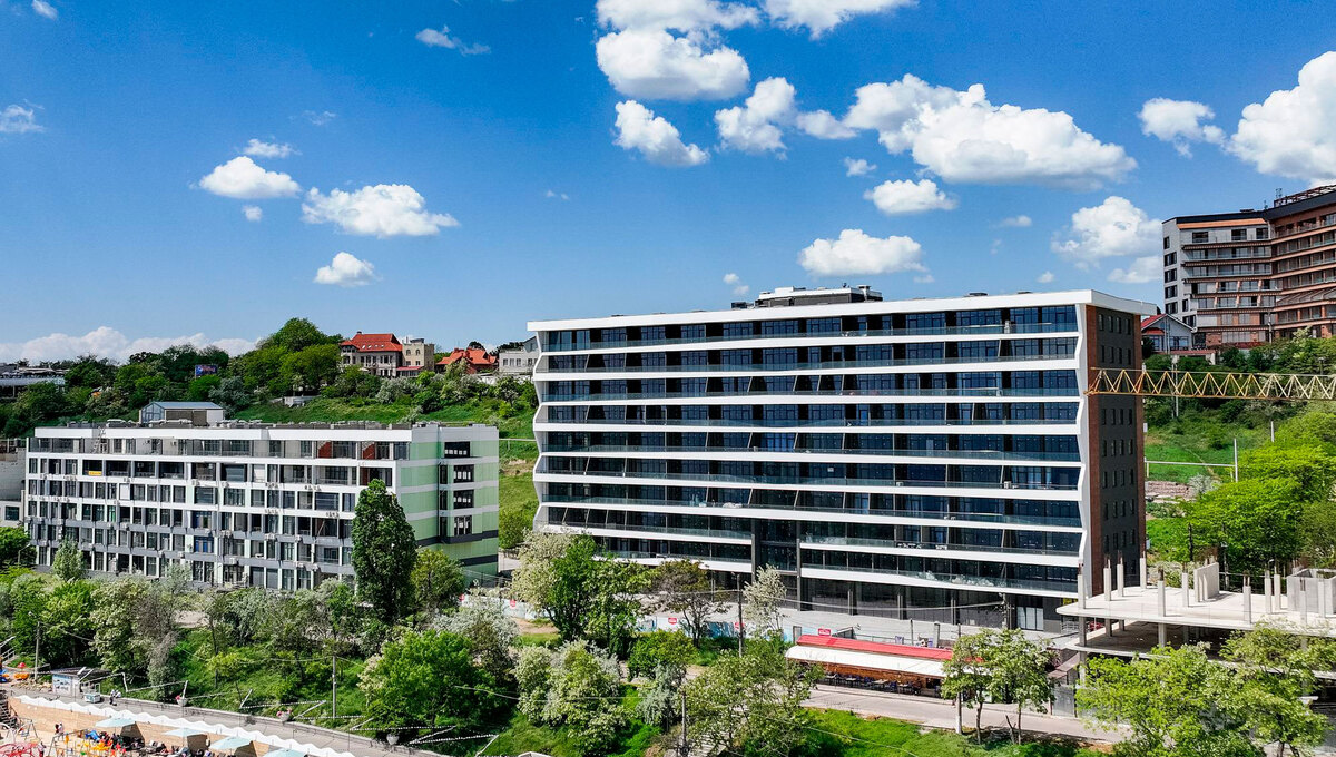 ������ ����