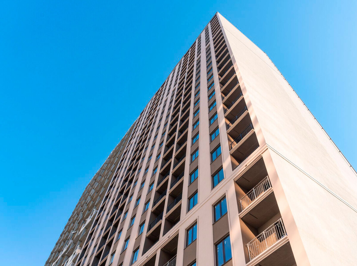 ������ ����