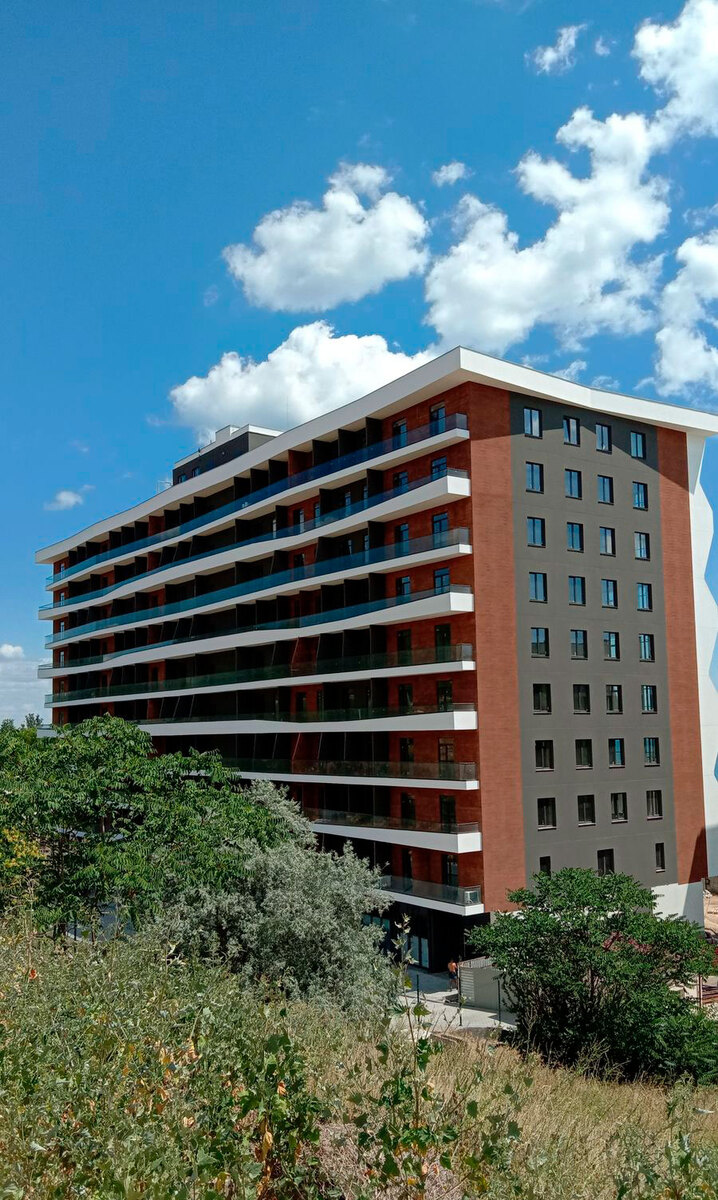 ������ ����