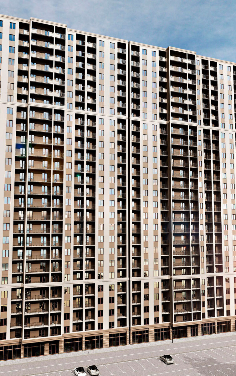 ������ ����